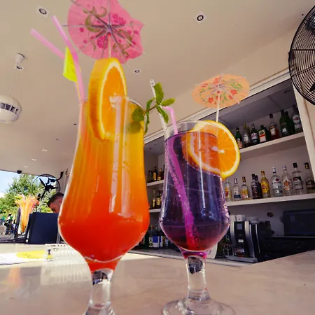 Dimitrios Adults Friendly 14 Rethymno