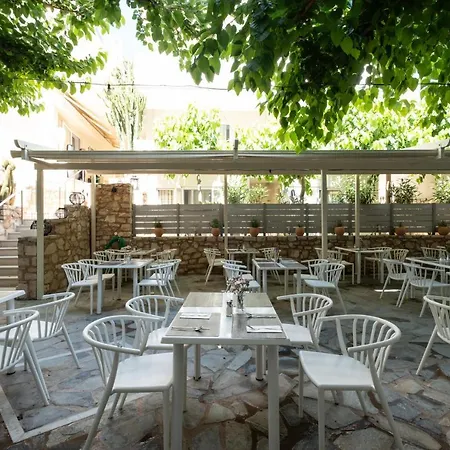Dimitrios Adults Friendly 14 Rethymno