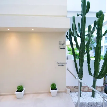 Dimitrios Adults Friendly 14 4*