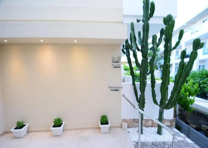 Dimitrios Adults Friendly 14 4*