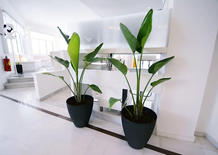 Dimitrios Adults Friendly 14 4* Resmo